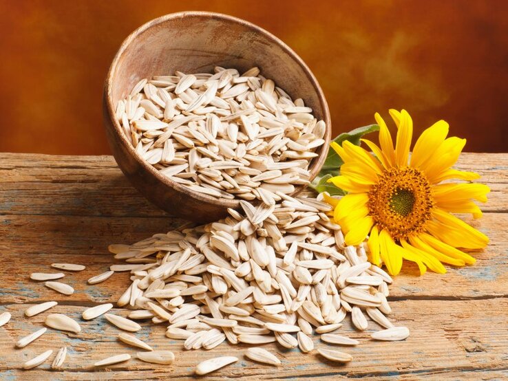 Sonnenblumenkerne auf einem Brett, daneben eine Sonnenblume. | © Getty Images Signature/ syolacan via Canva.com
