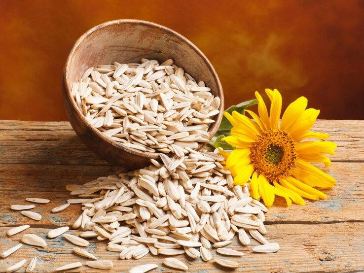 Schale mit Sonnenblumenkernen, daneben eine gelbe Sonnenblume auf Holztisch.