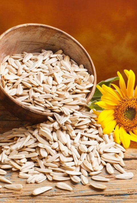 Schale mit Sonnenblumenkernen, daneben eine gelbe Sonnenblume auf Holztisch.