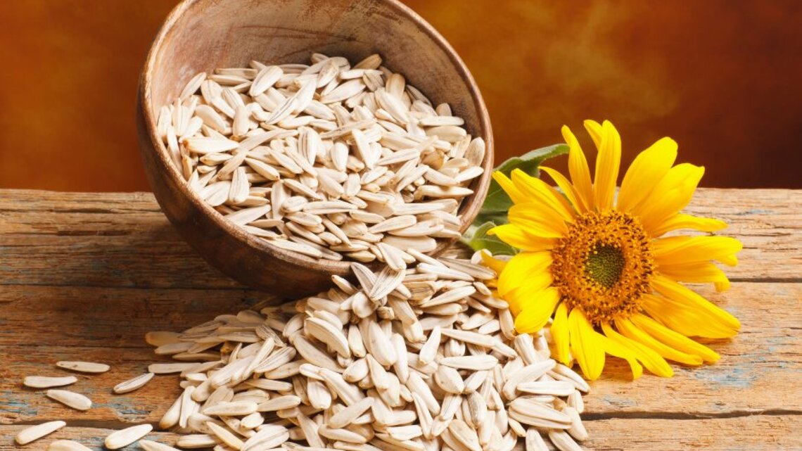 Schale mit Sonnenblumenkernen, daneben eine gelbe Sonnenblume auf Holztisch.