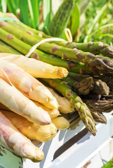 Bund weißer und grüner Spargel auf einer Holzkiste im sonnigen Garten. Ausführlich: Bündel weißer und grüner Spargelstangen liegen auf einer rustikalen Holzkiste im Freien, warmes Sonnenlicht und grüner Hintergrund.