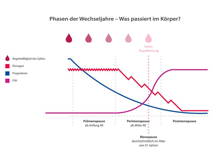 Grafische Darstellung der Hormone Östrogen, Progesteron, FSH in den Wechseljahren | © © Astellas Pharma