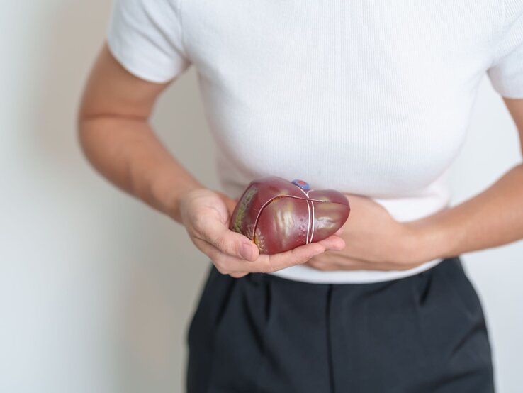 Leberzirrhose | © Adobe Stock / Jo Panuwat D Junge Frau in weißem Shirt hält ein Lebermodell und fasst sich mit schmerzverzerrtem Gesicht an den rechten Oberbauch. | © Adobe Stock / Jo Panuwat D