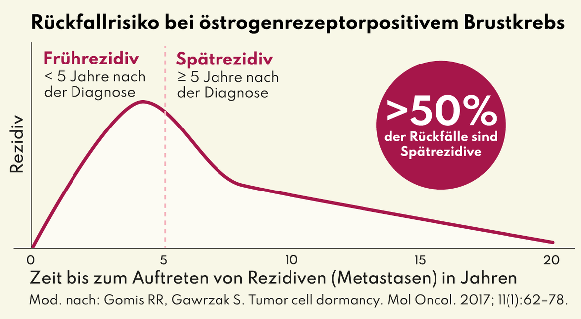Rückfallquote bei östrogenrezeptorpositivem Brustkrebs | © Leben mit Brustkrebs Infografik | © Leben mit Brustkrebs