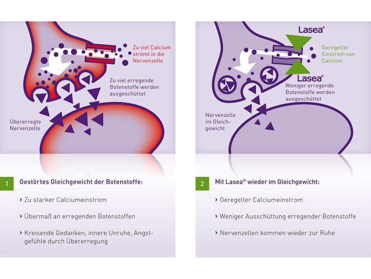 Lasea_Abb. 3 - Wirkmechanismus.jpg | © Dr. Willmar Schwabe GmbH & Co. KG