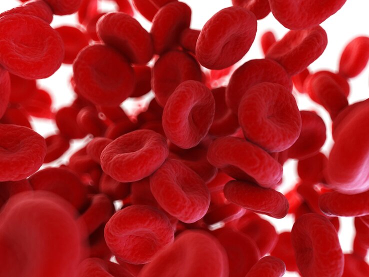 rote Blutplättchen graphisch dargestellt.