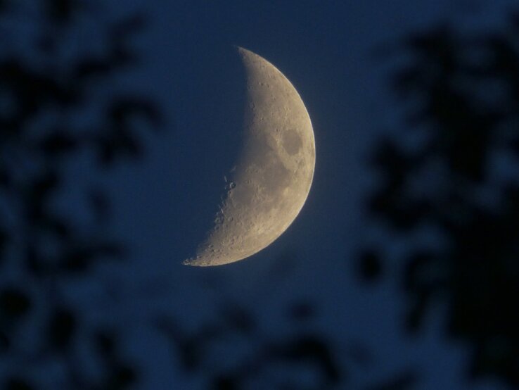 Eine Nahaufnahme des Halbmondes am Nachthimmel, umgeben von dunklen Silhouetten von Baumzweigen. Die Mondoberfläche ist klar erkennbar und hebt die Krater und Texturen hervor. Das Bild strahlt eine ruhige, mystische Atmosphäre aus und symbolisiert die Verbindung zur Astrologie und den Einfluss des Mondes auf das Leben.