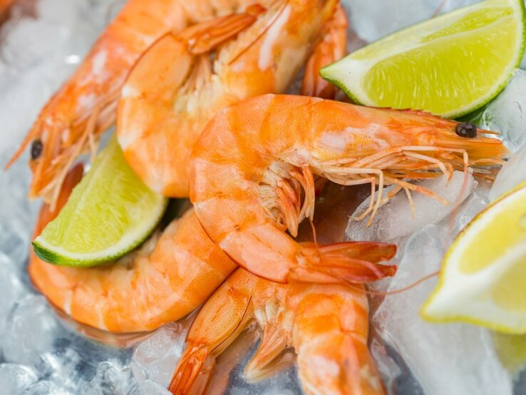 Crevetten, Shrimps, Garnelen Frische Garnelen liegen auf einem Bett aus zerstoßenem Eis, arrangiert für eine kalte Präsentation. Die orangefarbenen Garnelen sind deutlich zu sehen, umgeben von Stücken von Zitronen- und Limettenspalten, die einen Kontrast zu ihrer lebhaften Farbe bilden. Die Feuchtigkeit der Garnelen und die Kühle des Eises lassen das Essen frisch und bereit zum Servieren erscheinen.