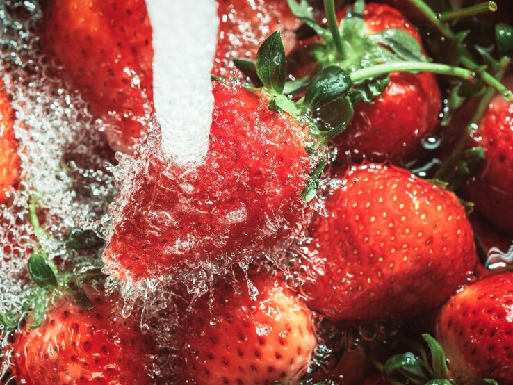 Leuchtend rote Erdbeeren, die energisch unter einem fließenden Wasserstrahl gespült werden.