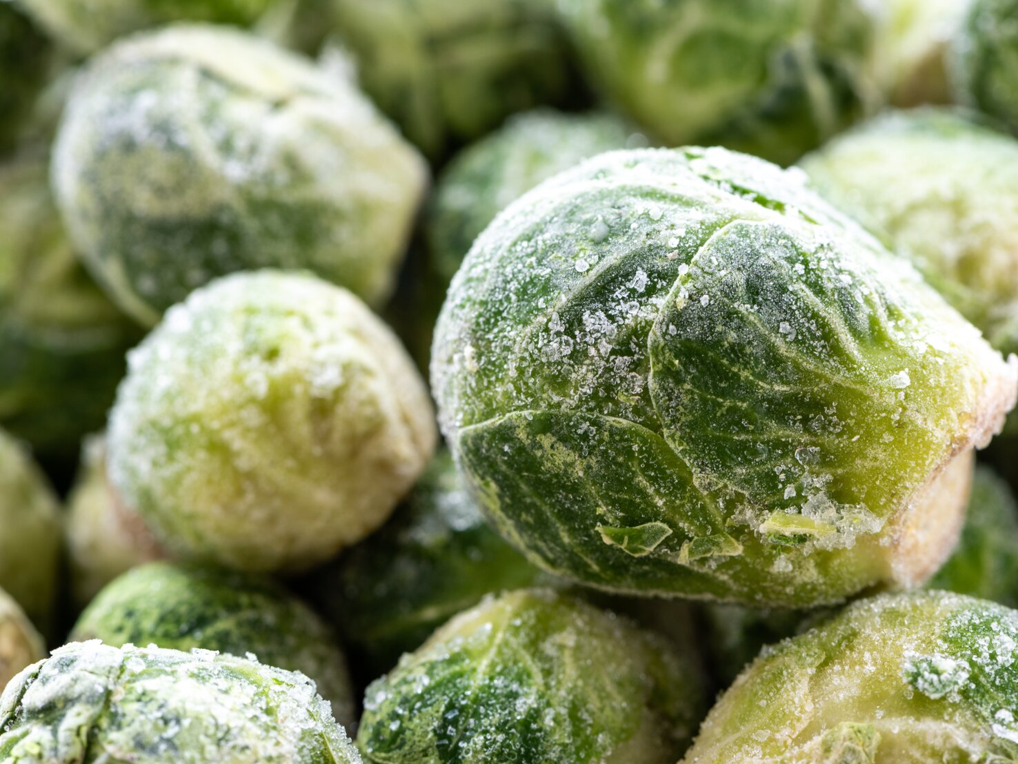 Rosenkohl einfrieren Eine gute Idee? Und wenn ja wie geht