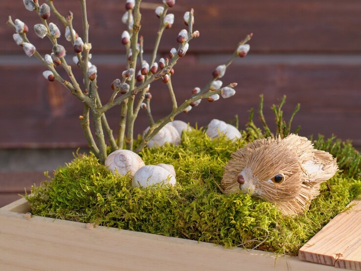 Dies ist ein Bild einer handwerklichen Frühlingsdekoration. Im Vordergrund befindet sich eine Figur eines Hasen, die kunstvoll aus Stroh oder ähnlichem Naturmaterial gefertigt wurde, mit sichtbaren Details wie Augen und Nase, die ihm ein lebendiges Aussehen verleihen. Der Hase ist inmitten einer dichten Schicht von grünem Moos platziert, das wahrscheinlich als Basis für die Dekoration dient. Neben dem Hasen sind mehrere weiße Schneckenhäuser verteilt, die dem Arrangement eine natürliche und rustikale Note hinzufügen. Im Hintergrund stehen Zweige von einem Baum oder Strauch mit knospigen, runden Enden, die vermutlich Weidenkätzchen sind, eine Pflanze, die häufig mit dem Frühling assoziiert wird. Das gesamte Arrangement ist in einer flachen, hölzernen Kiste angeordnet, die zur Präsentation der Szene dient. Der Hintergrund des Bildes ist unscharf, aber man kann die braune Holzverkleidung eines Gebäudes erkennen. Das Bild strahlt insgesamt eine ruhige und frühlingshafte Atmosphäre aus.