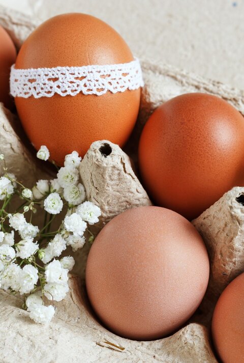 Ein Eierkarton aus Pappe enthält mehrere braune Eier. Eines der Eier ist mit einer dekorativen weißen Spitzenborte umwickelt. Zwischen den Eiern sind kleine Zweige mit weißen Blüten drapiert, was dem Ganzen eine frühlingshafte und österliche Atmosphäre verleiht. Der Hintergrund ist gelb, was den warmen, fröhlichen Charakter der Komposition betont.