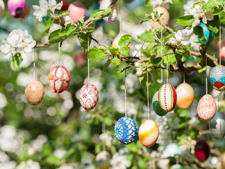 Farbenfrohe ausgepustete Eier hängen im Garten an einem Baum. 