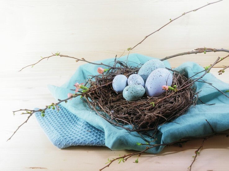  Ein natürliches Osterarrangement auf einem hellen Holzhintergrund: Ein echtes Vogelnest, umgeben von sanft gefärbten Stoffen in Blau- und Türkistönen, beherbergt eine Gruppe von künstlichen Eiern in verschiedenen Schattierungen von Blau und Weiß, einige davon mit zarten, dunklen Sprenkeln. Frische Frühlingszweige mit zarten grünen Knospen rahmen das Nest ein, ergänzt durch einige zarte rosa Blütenknospen, die dem Ganzen einen Hauch von Farbe verleihen. Das Arrangement strahlt Ruhe und die Erneuerung des Frühlings aus und symbolisiert die Fruchtbarkeit und das neue Leben, die mit Ostern assoziiert werden.