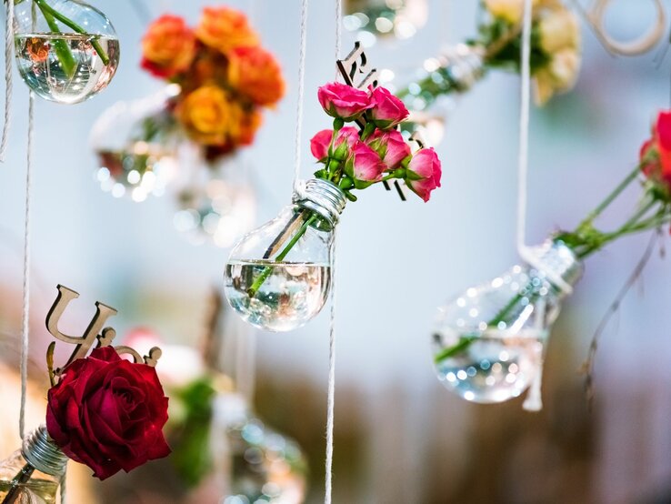 Hängende Glühbirnen mit Wasser und farbenfrohen Rosenblüten vor unscharfem Hintergrund