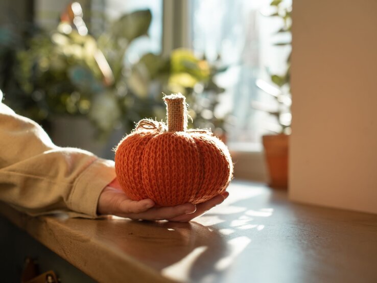 Kürbis aus Socken Eine Hand in beigem Ärmel hält einen gestrickten Kürbis in warmem Sonnenlicht auf einer Fensterbank, umgeben von Pflanzen.