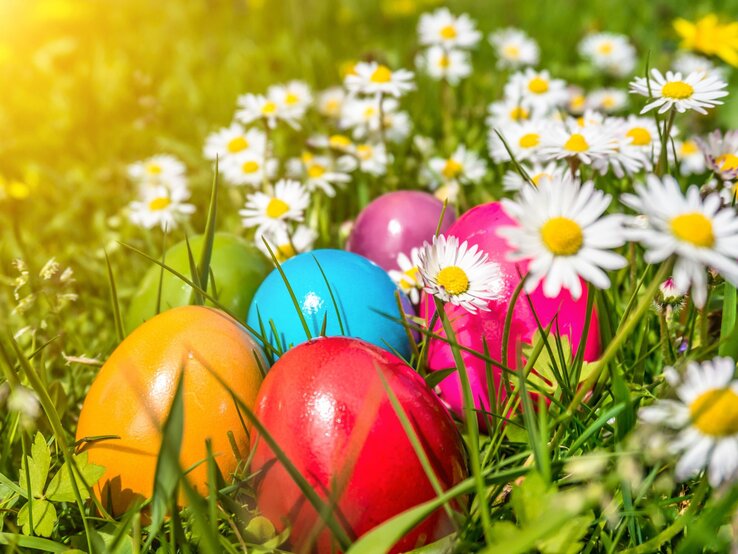 Bunte Ostereier liegen zwischen blühenden Gänseblümchen im grünen Gras, im Hintergrund leuchtet warmes Sonnenlicht.