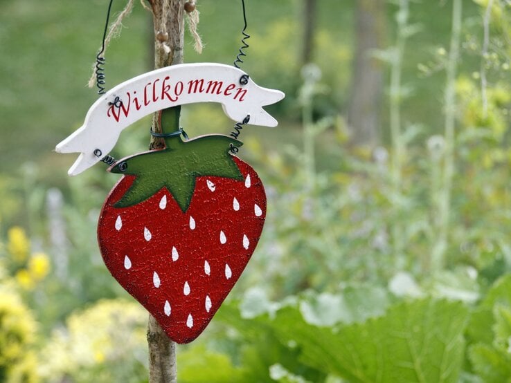 Dekoratives Erdbeer-Holzschild mit grünem Blätterdach und weißem „Willkommen“-Banner vor unscharfer Gartenkulisse.