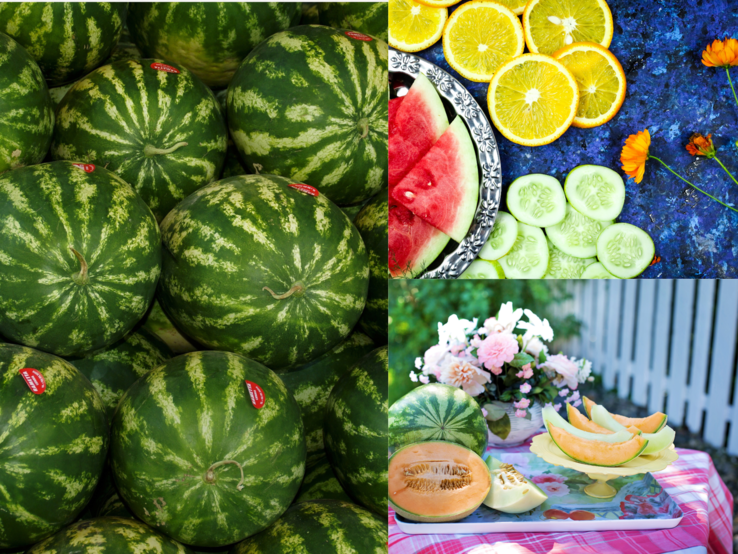 Wassermelonen aufgestapelt, daneben bunte Obst- und Gemüsescheiben auf blauem Tisch und aufgeschnittene Melonen im Garten mit Blumen.