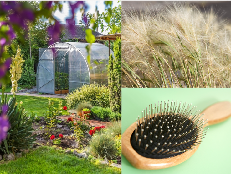 Kollage mit sonnigem Garten samt Glashaus und Blumenbeet, filigranem Federgras im Wind und Holzhaarbürste auf grünem Untergrund.