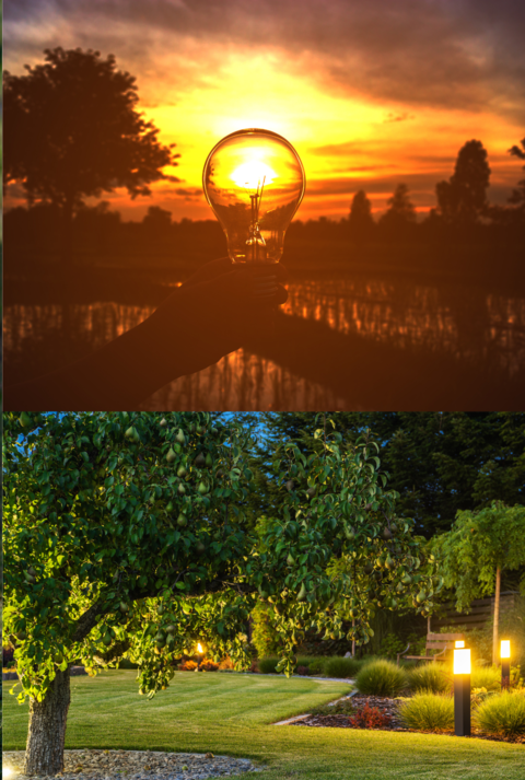 Ein Turm aus bunten Holzscheiben auf Gras, eine Hand mit Glühbirne vor Sonnenuntergang und ein beleuchteter Garten mit Birnbaum.