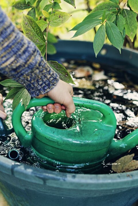 Zu sehen ist eine Regentonne, die mit Wasser gefüllt ist und Hände, die mit einer Gießkanne das Wasser herausschöpfen