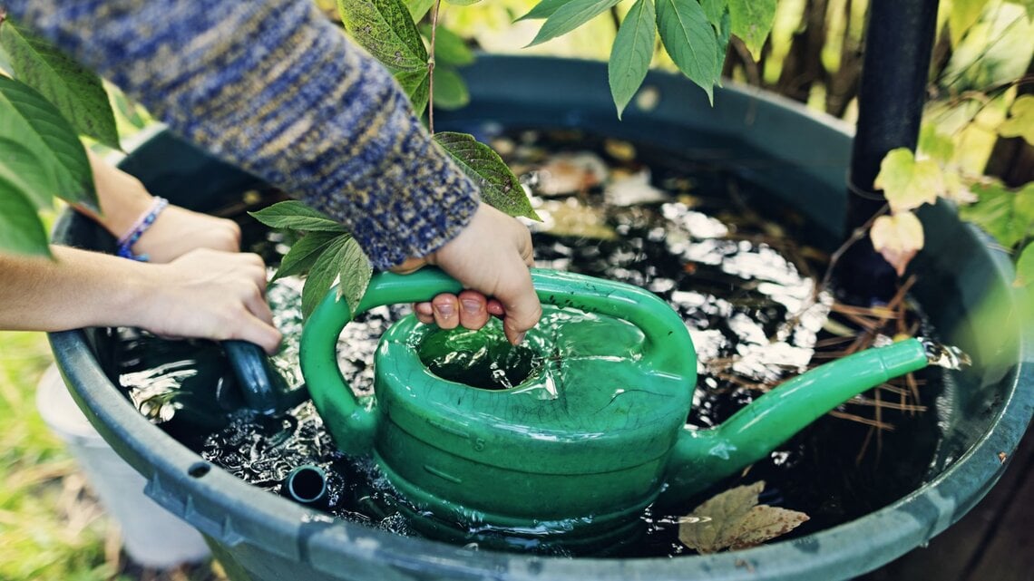 Zu sehen ist eine Regentonne, die mit Wasser gefüllt ist und Hände, die mit einer Gießkanne das Wasser herausschöpfen