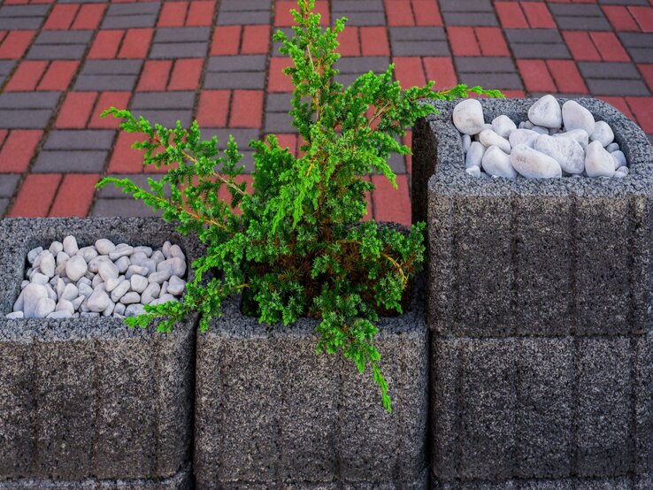 Drei Betonblöcke mit weißen Kieselsteinen und grünem Strauch, aufgestellt vor einem gemusterten Pflaster aus roten und grauen Steinen.