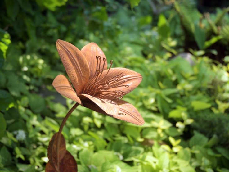 Rostfarbene Metallblume mit filigranen Staubblättern steht kunstvoll gebogen inmitten dichter grüner Gartenpflanzen.