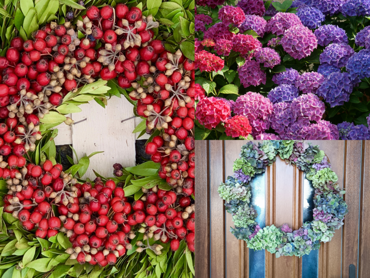Drei florale Arrangements: roter Beerenkranz, blühende Hortensien in Lila und Pink, pastellfarbener Türkranz aus Trockenblüten.