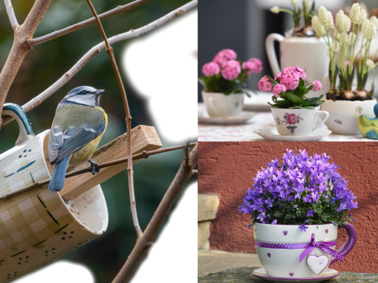Geschirr -Upcycling Eine Blaumeise sitzt auf einem Ast neben einer Tasse, rechts stehen blühende Frühlingsblumen dekorativ in Vintage-Teetassen.