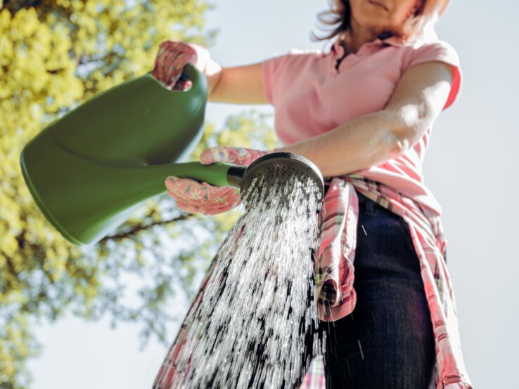 Eine Person in rosa Polohemd und Jeans gießt mit einer grünen Kanne Wasser, während Sonnenlicht durch Laubbäume strahlt.