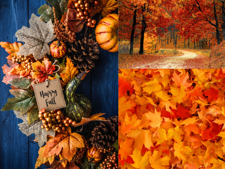 Basteln mit Blättern Herbstliche Collage mit Türkranz aus Kürbissen und Laub, rotem Waldweg und dichtem Teppich goldgelber Ahornblätter.