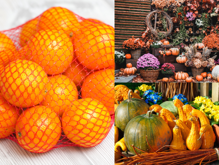 Leuchtende Orangen im Netz neben herbstlicher Deko mit Kürbissen, Chrysanthemen und bunten Blüten auf Holzuntergrund.