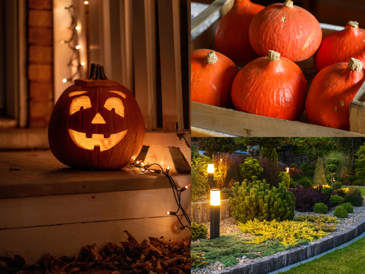 Ein leuchtender Halloween-Kürbis auf einer Veranda, frische Hokkaidokürbisse in Holzkiste und ein abends stimmungsvoll beleuchteter Ziergarten.