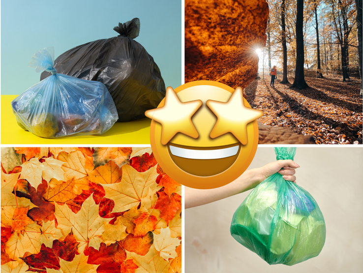 Eine Collage aus Mülltüten, buntem Herbstlaub, einem Waldspaziergang im Sonnenlicht und einem Emoji mit leuchtenden Sternaugen.