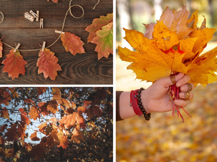 Herbstliche Collage: Links eine Blattgirlande auf Holz, unten leuchtende Ahornzweige im Sonnenlicht, rechts eine Hand mit gelbem Blätterstrauß.