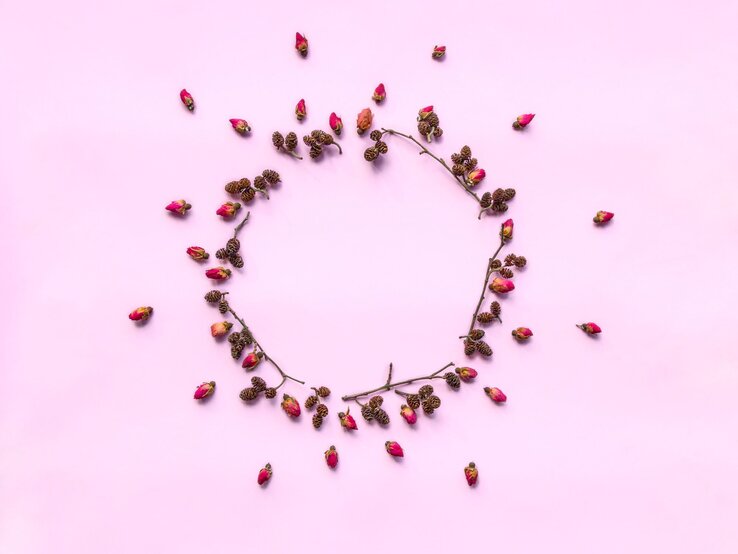 Basteln mit Erlenzapfen Getrocknete rosa Rosenknospen und kleine Erlenzapfen bilden einen zarten Kreis auf einem pastellrosa Hintergrund.