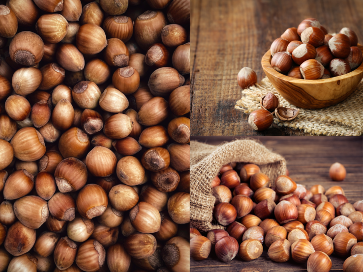 Viele ganze Haselnüsse in Nahaufnahme, daneben Nüsse in Holzschale und aus Jutesack auf rustikalem Holztisch verstreut.
