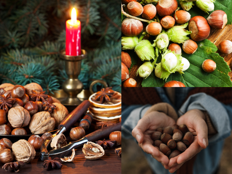 Kerzenstände aus Haselnüssen Verschiedene Haselnüsse in Schale, auf Blättern, in Kinderhänden und festlich mit Walnüssen, Gewürzen und Kerze arrangiert.
