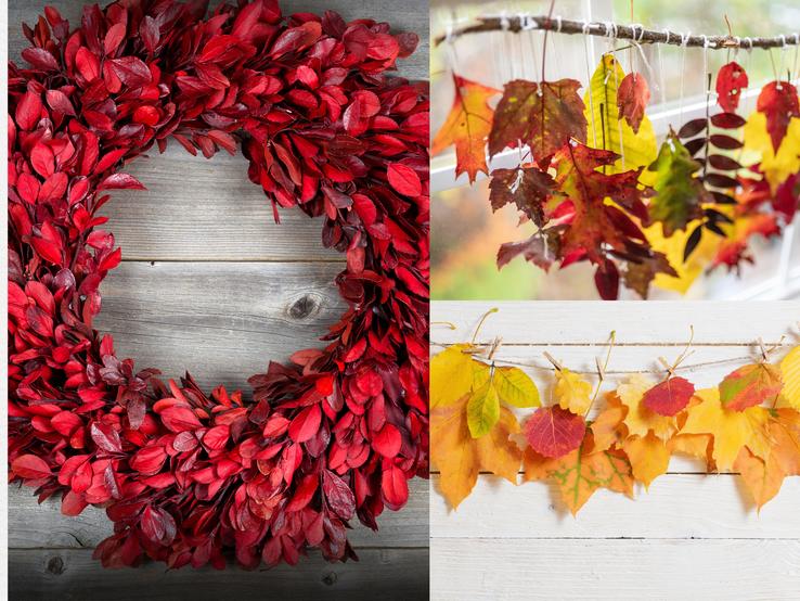 Herbstkranz aus roten Blättern auf Holz, daneben bunte Ahornblätter als Girlanden vor Fenster und weißer Wand dekorativ aufgehängt.