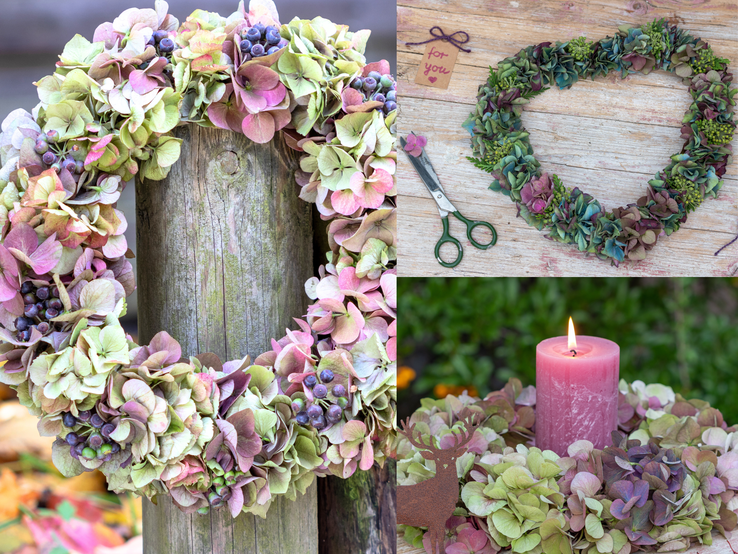 Basteln mit Hortensien Drei herbstliche Hortensienkränze in Rosa-Grün, als Herz, Kerzenkranz und Türkranz dekorativ arrangiert mit Beeren und Deko.