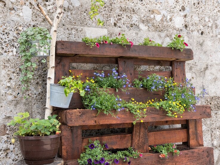 Eine rustikale Holzkiste als Pflanzregal mit bunten Blumen vor einer Mauer, daneben ein Blumentopf mit Erdbeerpflanzen auf einem Baumstamm