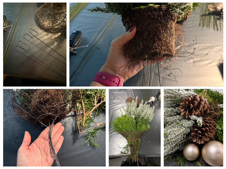 Bastelanleitung Thuja-Strauß  | © Canva/Collage:bildderfrau.de Schritt-für-Schritt-Anleitung zur Weihnachtsgesteck-Herstellung aus Thuja mit Draht, Wurzelballen, Zapfen, Erika und goldenen Kugeln. | © Canva/Collage:bildderfrau.de