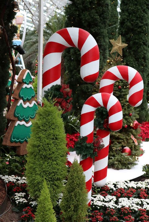 Riesige rot-weiße Zuckerstangen stehen zwischen Weihnachtsbäumen, Blumenbeeten und Lebkuchenfiguren in festlicher Kulisse.