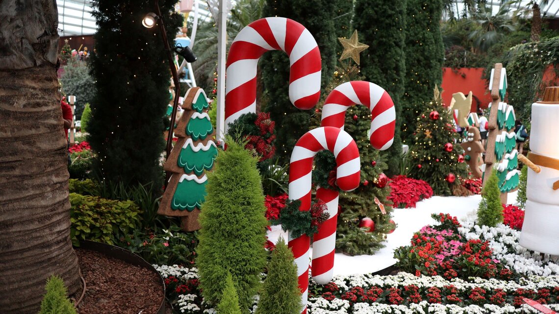 Riesige rot-weiße Zuckerstangen stehen zwischen Weihnachtsbäumen, Blumenbeeten und Lebkuchenfiguren in festlicher Kulisse.