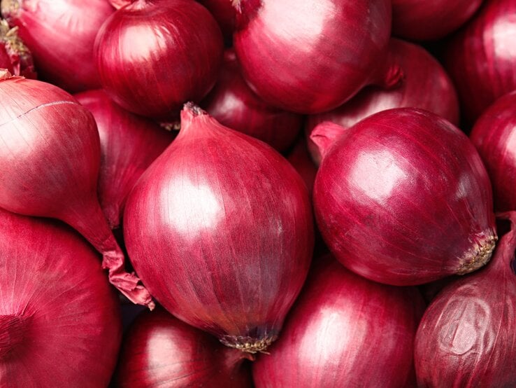 Mehrere glänzende rote Zwiebeln liegen dicht aneinandergedrängt und füllen das gesamte Bild gleichmäßig aus.