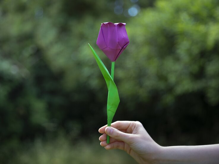 Zu sehen ist eine Hand, die eine lila Papiertulpe hält.