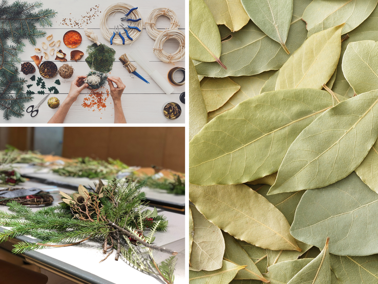 Drei Ansichten von Kranzbasteln mit Naturmaterialien, frischen Tannenzweigen und getrockneten Lorbeerblättern auf Weiß.