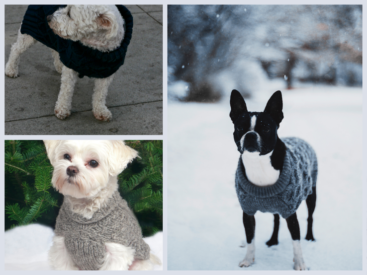 Eine Collage aus Hunden in Strickpullovern: Ein weißer Hund auf Gehweg, ein schwarz-weißer Hund im Schnee und ein weiterer vor Tannen im grauen Pullover.